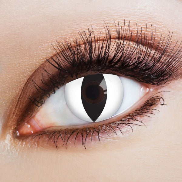 Contact Lenses Catwalk White