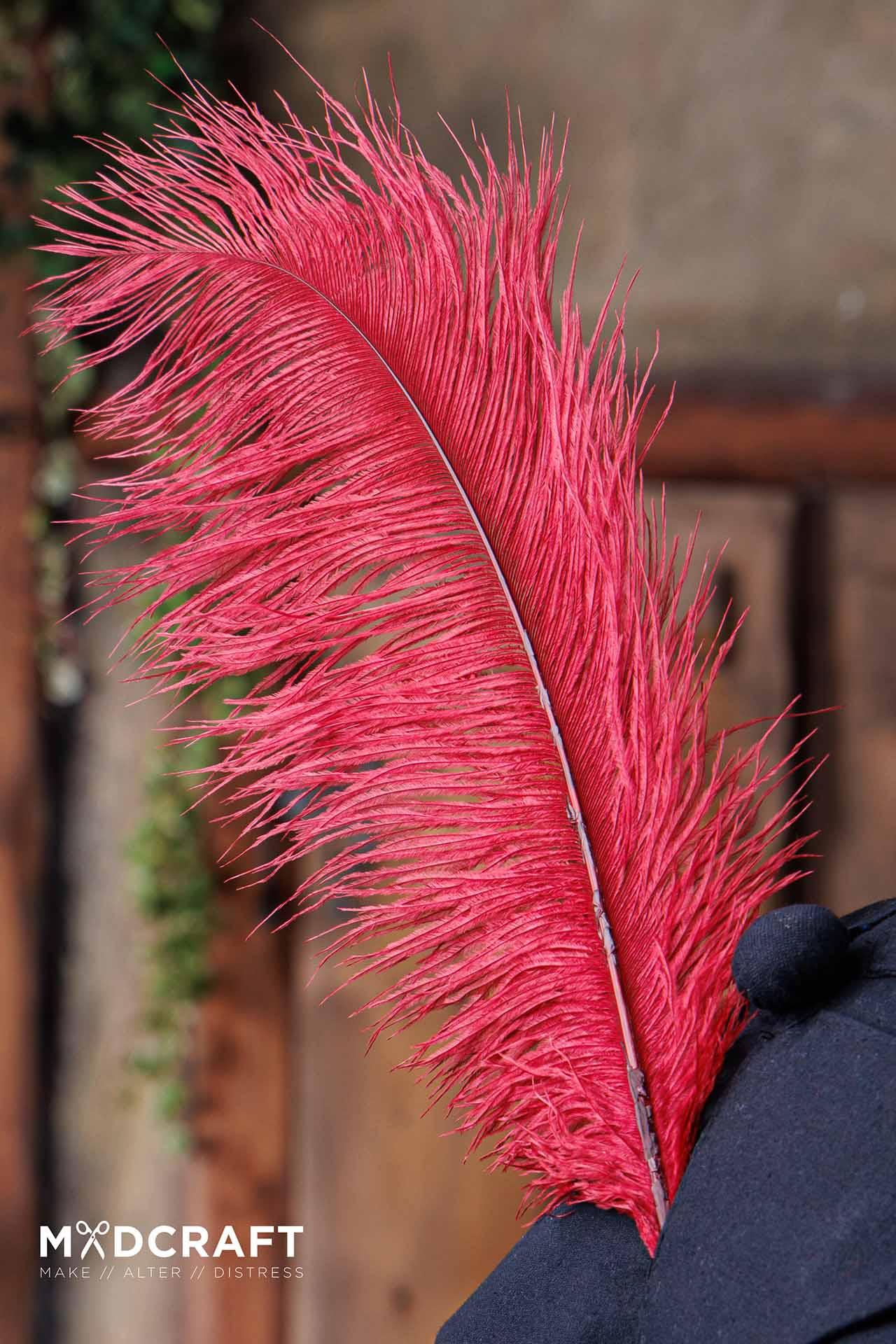 Ostrich Feather 45-50cm Dark Red